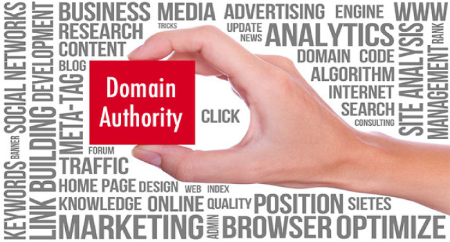 domain-authority