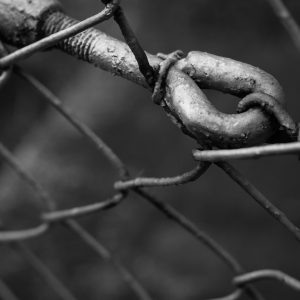Link building